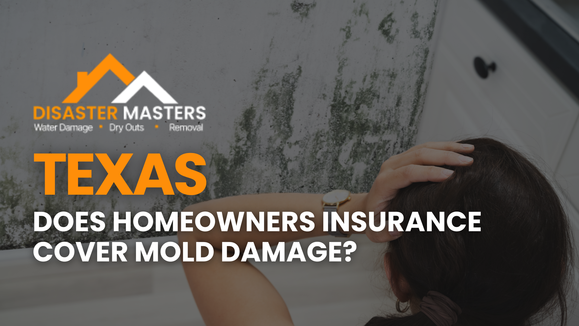 Does Homeowners Insurance Cover Mold Damage_ image