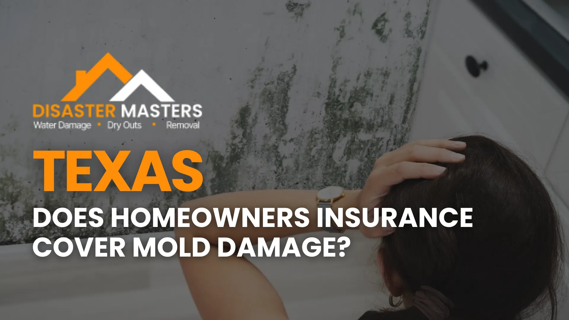 Does Homeowners Insurance Cover Mold Damage_ image