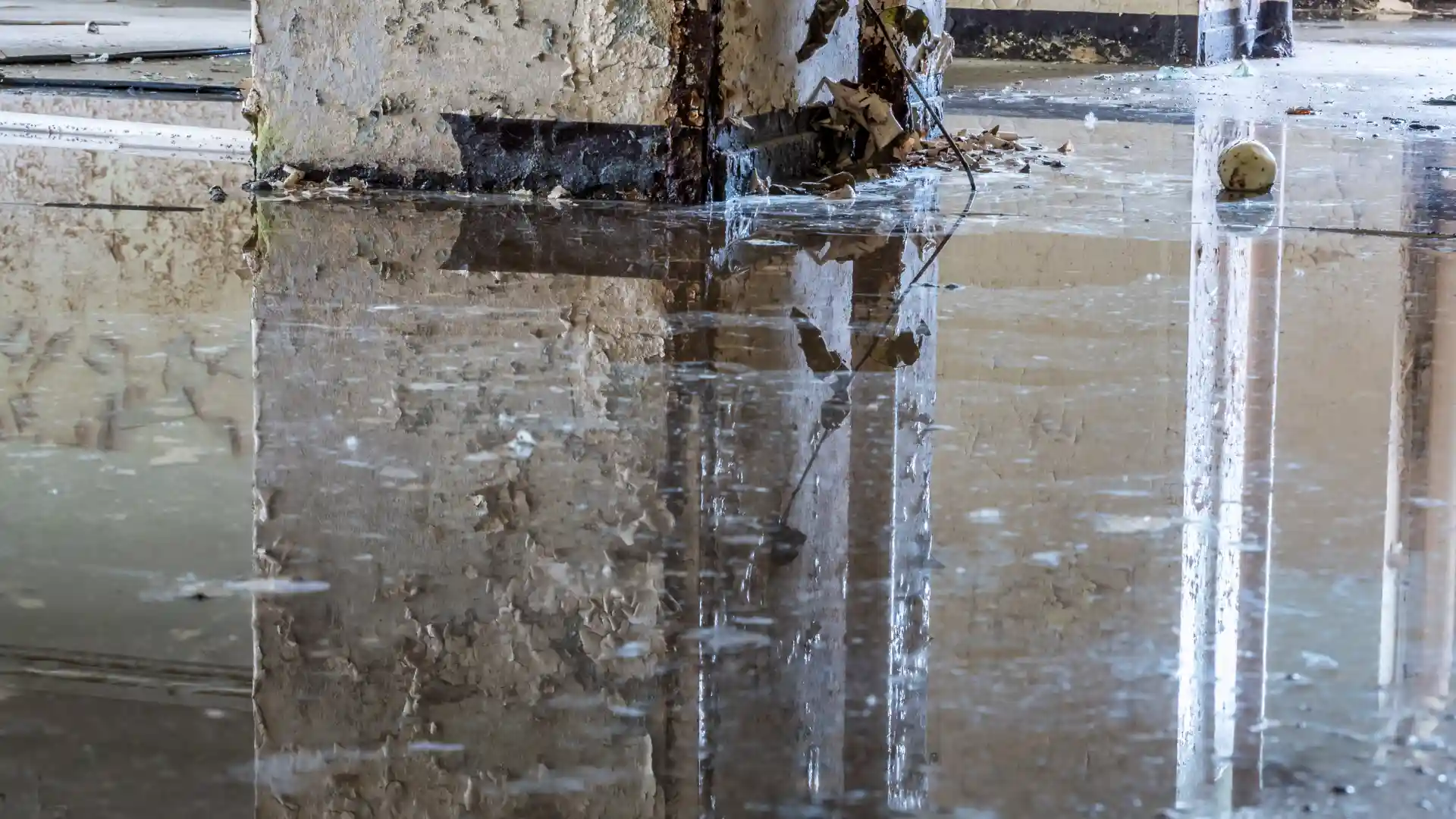 Does Homeowners Insurance Cover Water Damage_ image raw