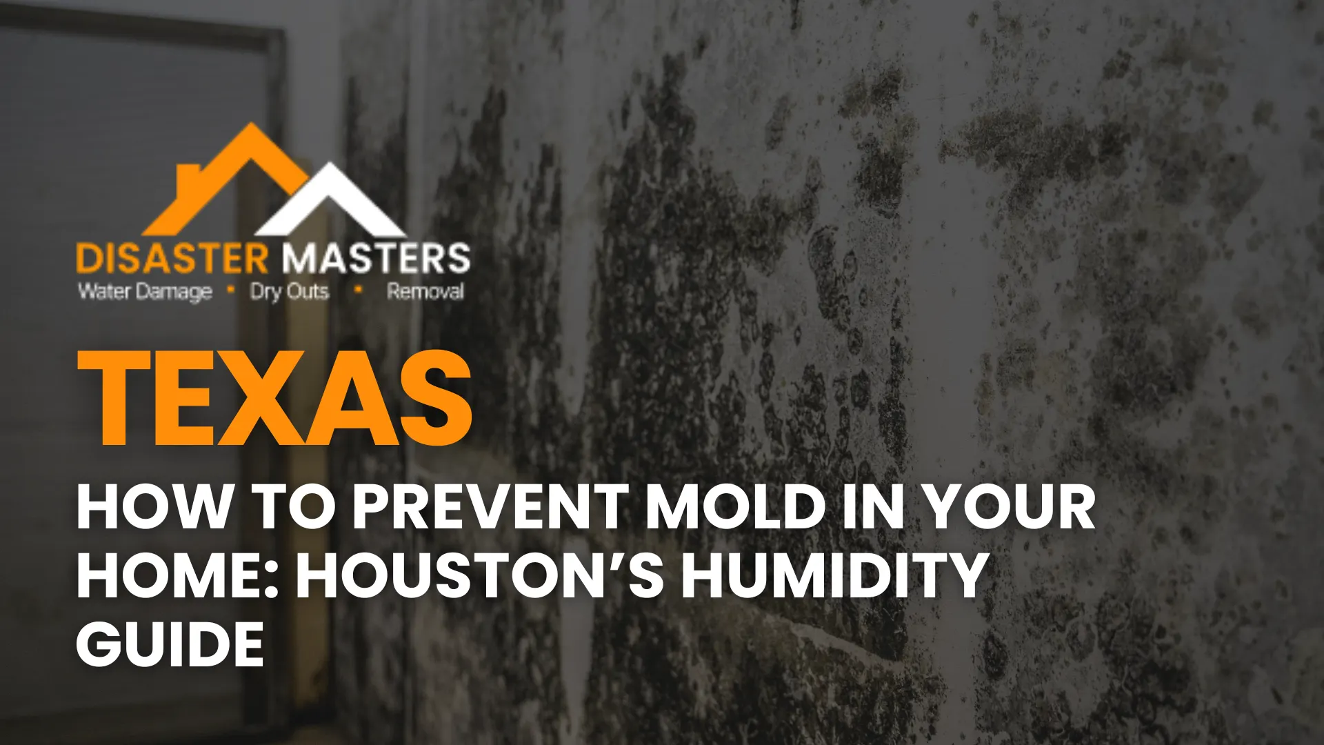 How to Prevent Mold in Your Home_ Houston’s Humidity Guide image