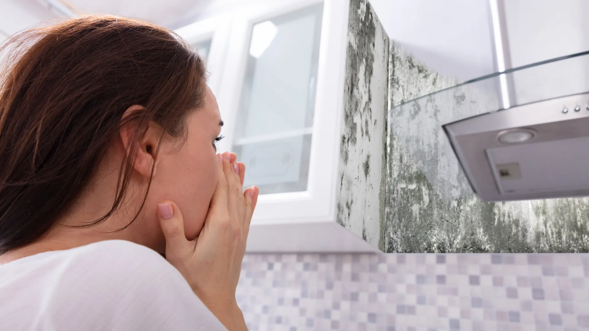 Signs You Have Black Mold in Your Home (And What to Do) image 2