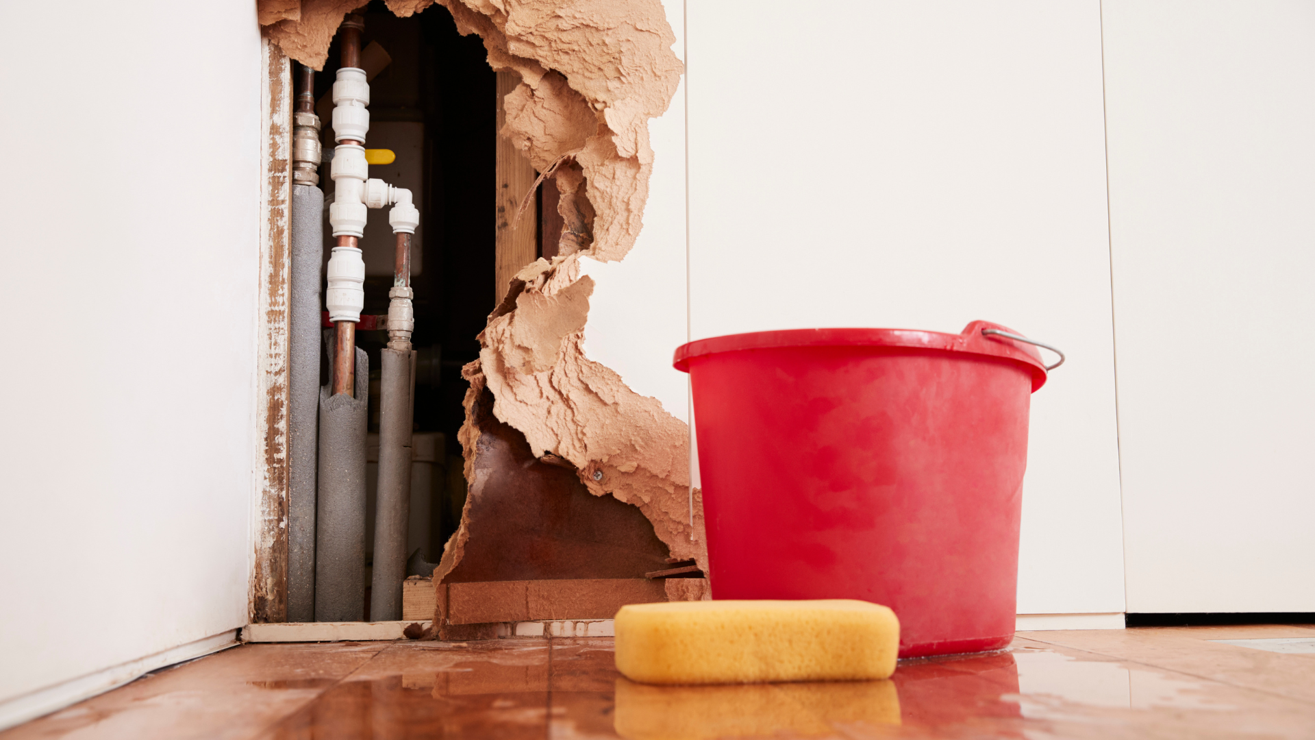 Water Damage Insurance Claim Tips_ How to Maximize Your Payout image raw